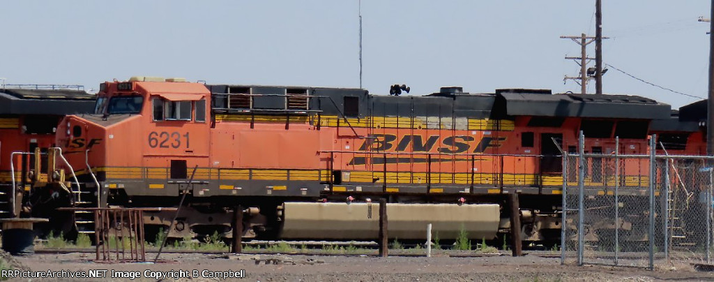 BNSF 6231